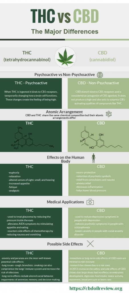 BEGINNERS GUIDE TO CANNABIDIOL OIL CBD 3