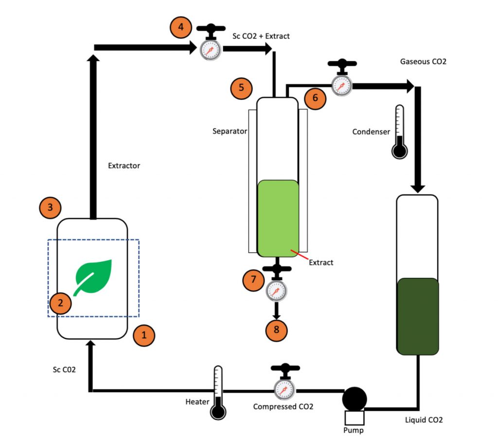 extraction method