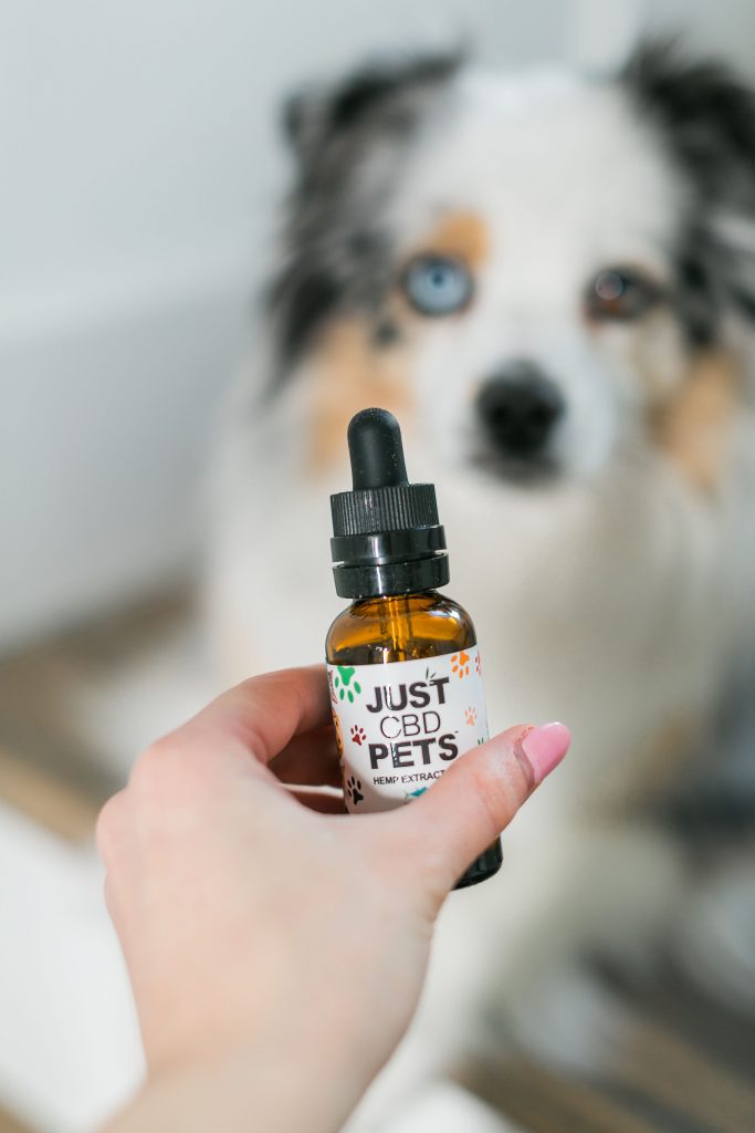 2020’s Best CBD for Pets - CBD oil for Cats and Dogs